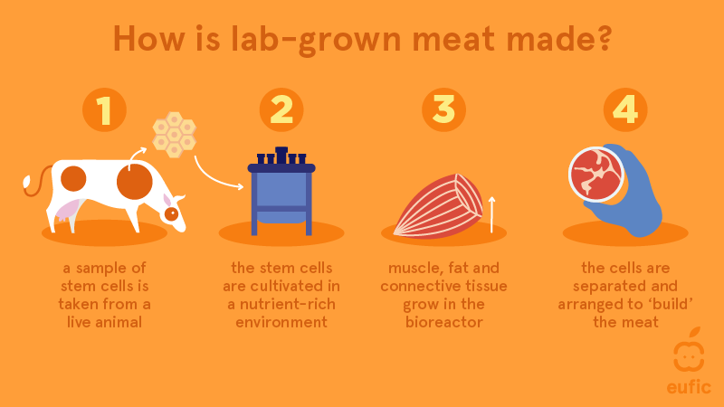 Lab grown meat