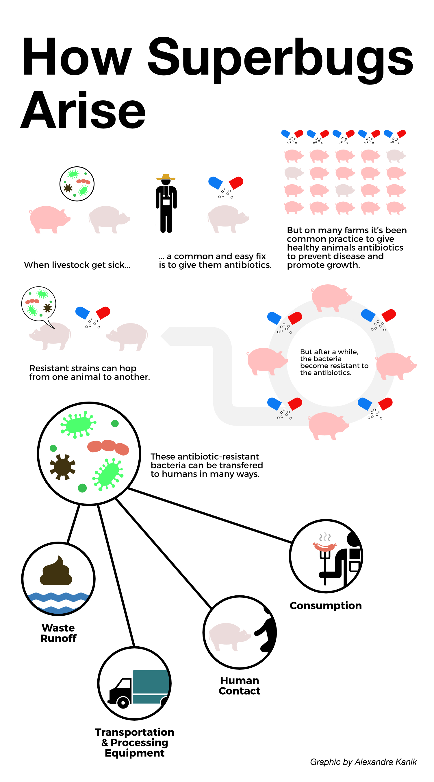 livestock antibiotics diagram